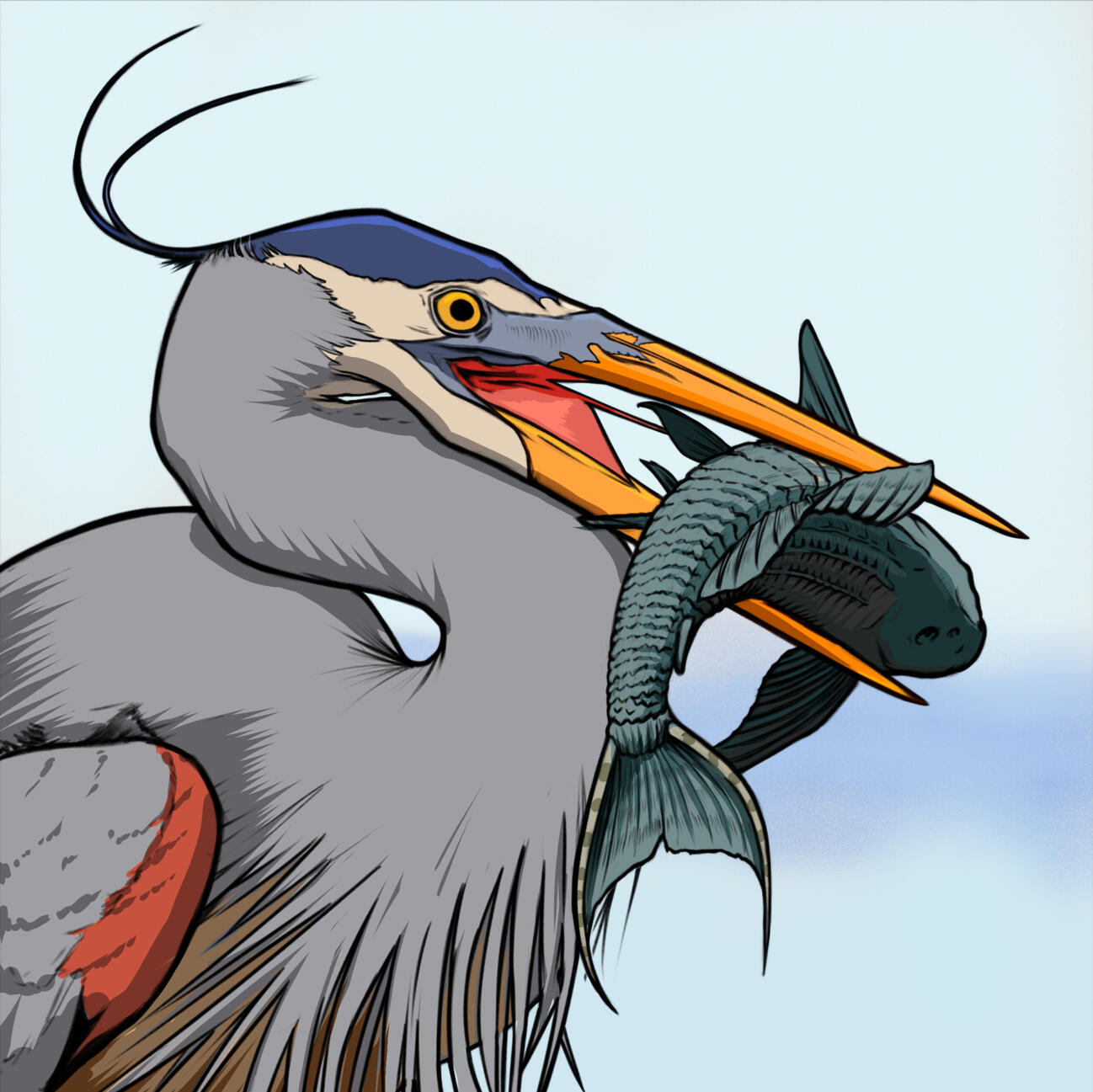 Sketchbook and Studies