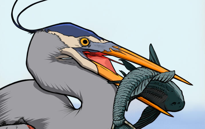 Sketchbook and Studies